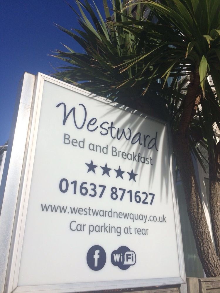 Westward B&B New Quay Exteriör bild